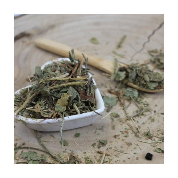 Brusnica čučoriedková, čučoriedka - list celý - Vaccinium myrtillus - Folium myrtilli