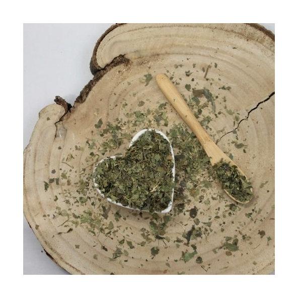 Brečtan popínavý - list narezaný - Hedera helix - Folium hederae helicis