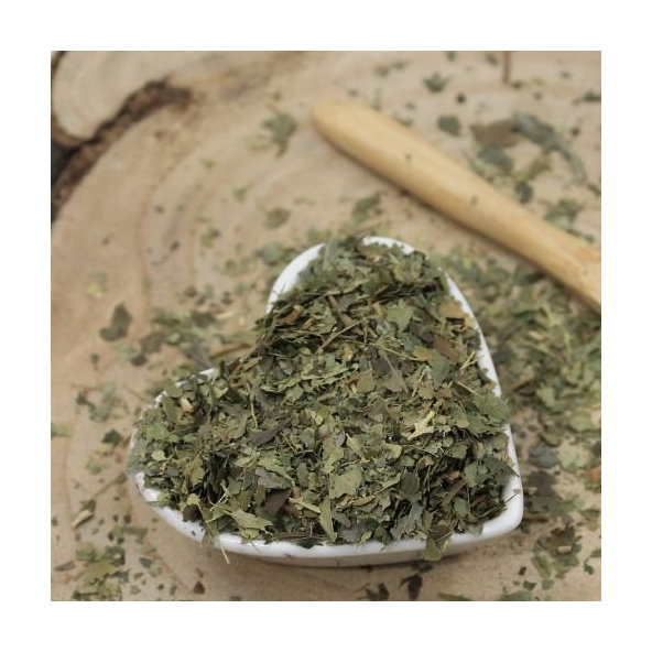 Brečtan popínavý - list narezaný - Hedera helix - Folium hederae helicis