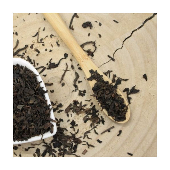 Čajovník čínsky, čierny čaj assam - Thea sinensis