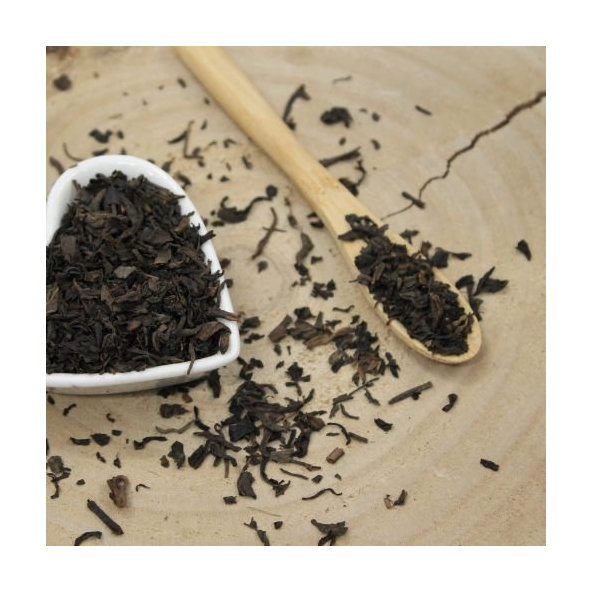 Čajovník čínsky, čierny čaj assam - Thea sinensis