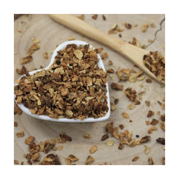 Čakanka obyčajná - koreň narezaný - Cichorium intybus - Radix cichorii