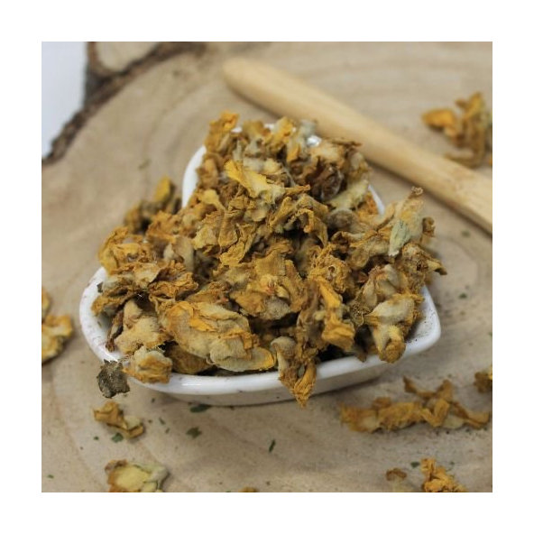 Divozel malokvetý - kvet - Verbascum thapsus - Flos verbasci