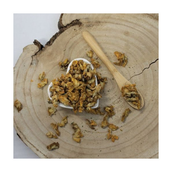 Divozel malokvetý - kvet - Verbascum thapsus - Flos verbasci