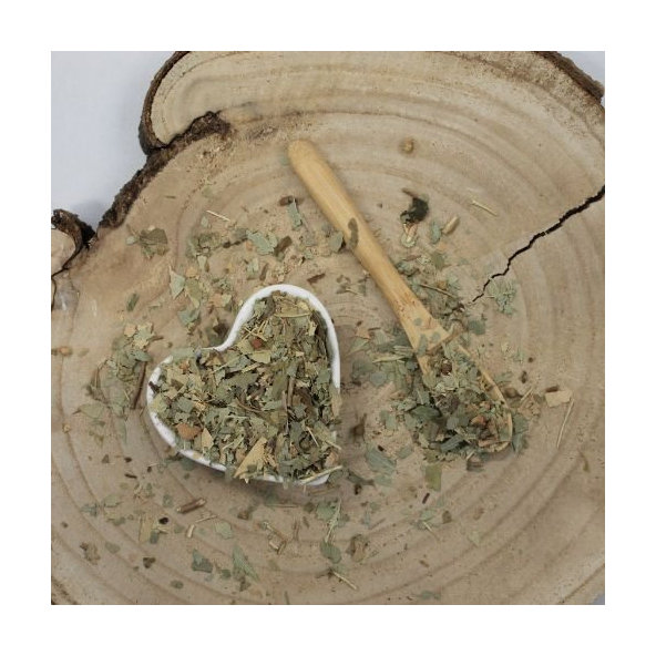 Blahovičník guľatoplodý, eukalyptus - list narezaný - Eucalyptus globulus - Folium eucalypti