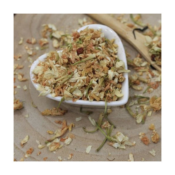Jasmín lekársky - kvet celý - Jasminum officinale - Flos jasmini