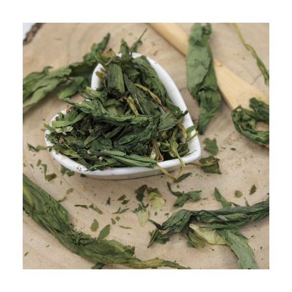 Medvedí cesnak - list celý - Allium ursinum - Herba allii ursini