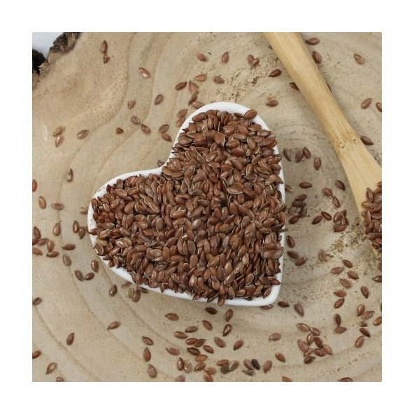 Ľan siaty, ľaňové semienko - semeno - Linum usitatissimum - Semen lini