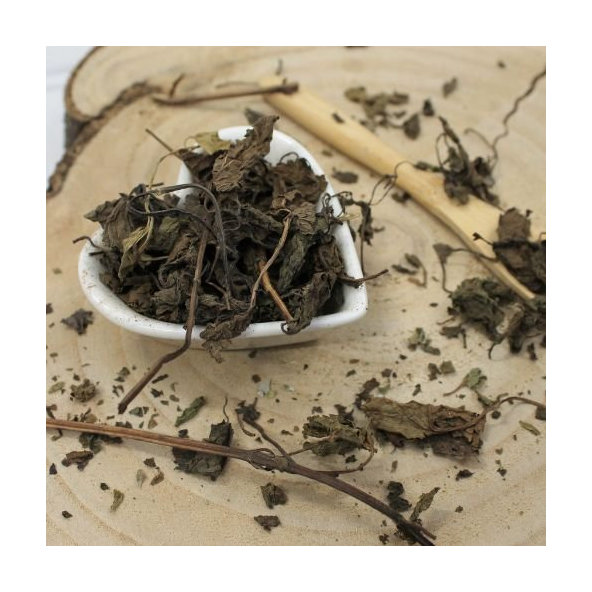 Medovka lekárska - list celý - Melissa officinalis - Folium melissae