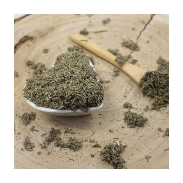 Palina pontická - vňať narezaná - Artemisia pontica - Absinthii pontici herba