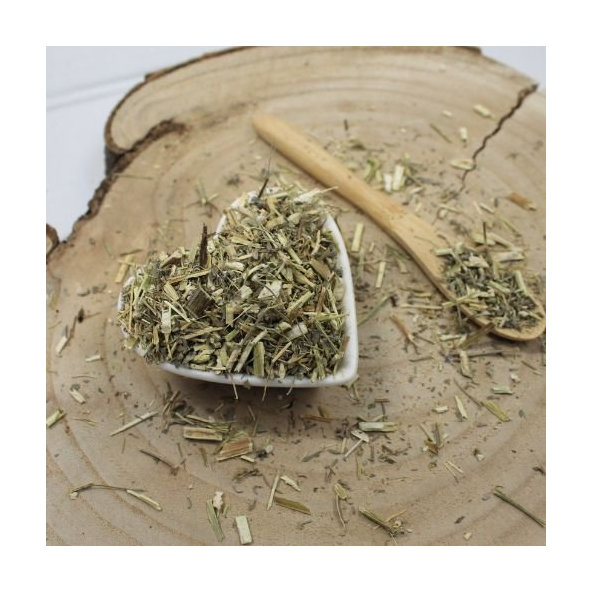 Palina obyčajná - vňať narezaná - Artemisia vulgaris - Herba artemisiae