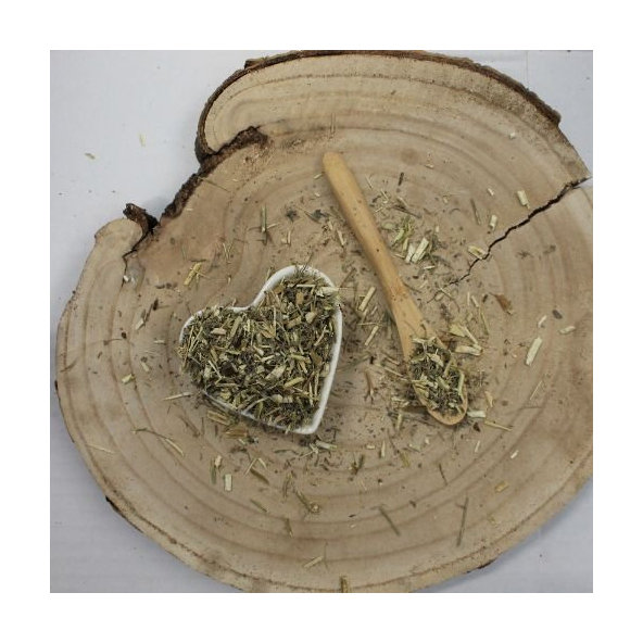 Palina obyčajná - vňať narezaná - Artemisia vulgaris - Herba artemisiae