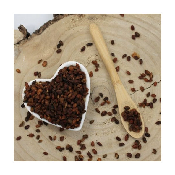 Rakytník rašetliakový - plod celý - Hippophae rhamnoides - Fructus hippophae