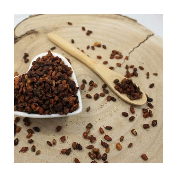 Rakytník rašetliakový - plod celý - Hippophae rhamnoides - Fructus hippophae