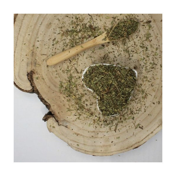 Stévia cukrová - vňať narezaná - Stevia rebaudiana - Herba steviae