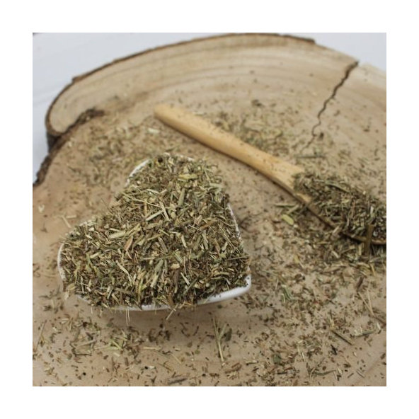 Železník lekársky - vňať narezaná - Verbena officinalis - Herba verbenae