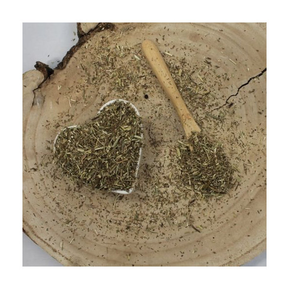 Železník lekársky - vňať narezaná - Verbena officinalis - Herba verbenae