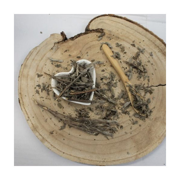 Šalvia lekárska - vňať narezaná - Salvia officinalis - Herba salviae