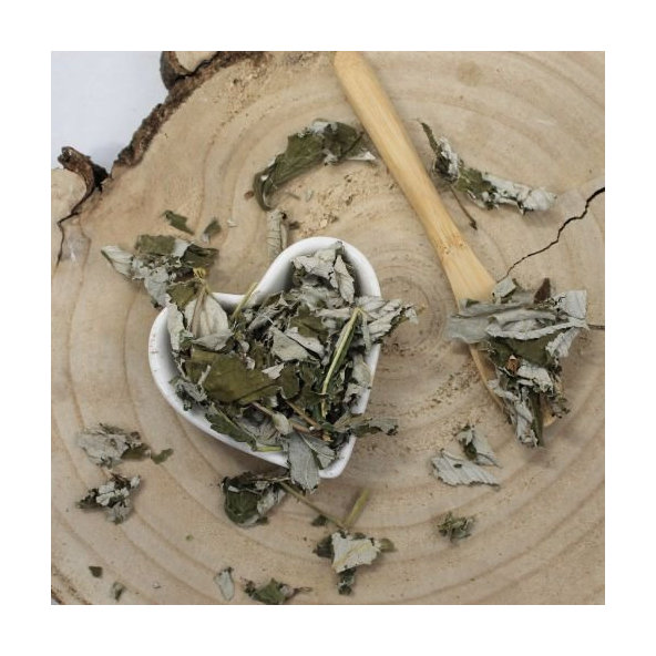 Ostružina malinová - list celý - Rubus idaeus - Folium rubi idaei