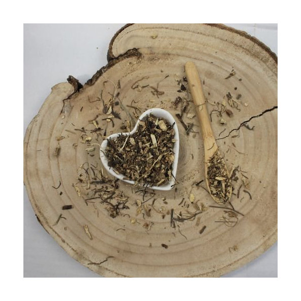 Echinacea purpurová - koreň narezaný - Echinacea purpurea - Radix echinaceae