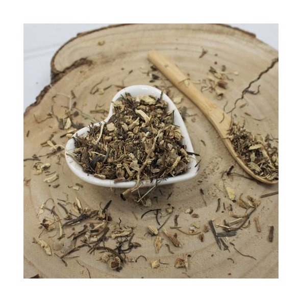 Echinacea purpurová - koreň narezaný - Echinacea purpurea - Radix echinaceae