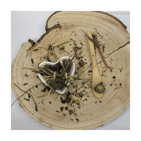 Echinacea purpurová - vňať celá - Echinacea purpurea - Herba echinaceae