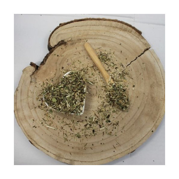 Echinacea purpurová - vňať narezaná - Echinacea purpurea - Herba echinaceae