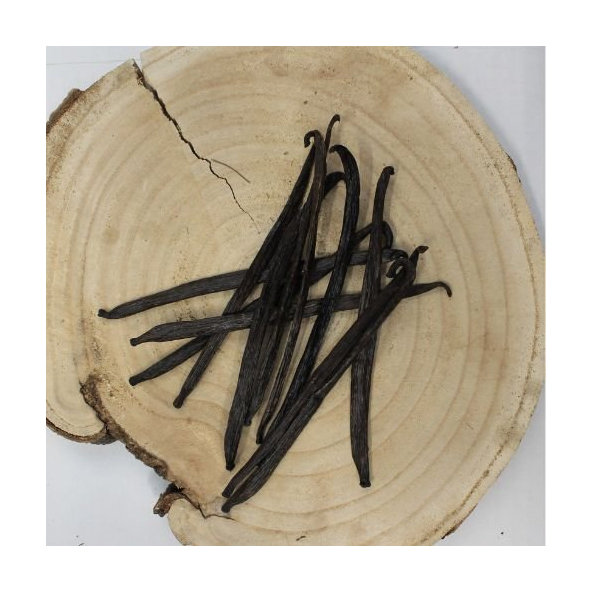 Vanilka voňavá , vanilkový lusk - plod celý - Vanilla planifolia - Fructus vanillae