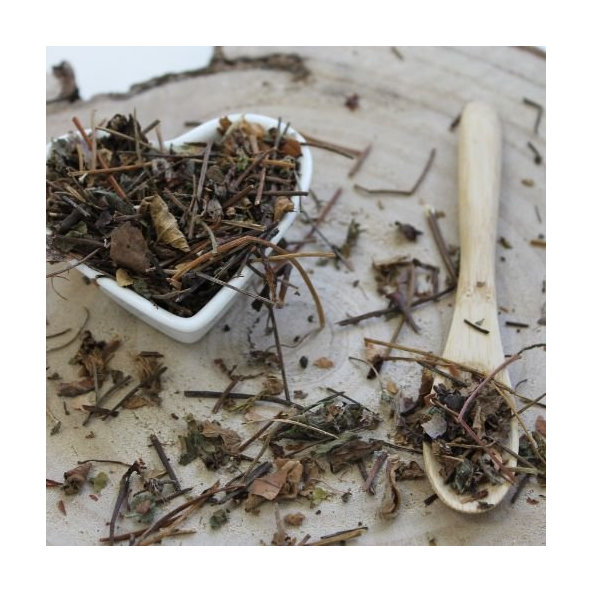 Pakost podzemkatý, zdravets - vňať narezaná - Geranium macrorrhizum - Herba geranii macrorhizae