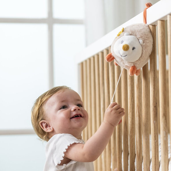 NATTOU Ježko plyšový hudobný  Zoe 20 cm Mila, Zoe & Lana