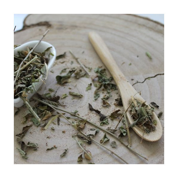 Mäta prieporná - vňať narezaná - Mentha x piperita - Herba menthae piperitae