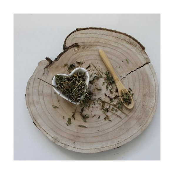 Mäta prieporná - vňať narezaná - Mentha x piperita - Herba menthae piperitae