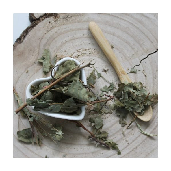 Škumpa vlasatá - vňať narezaná - Cotinus coggygria - Herba