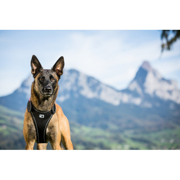 CURLI Postroj pre psov Belka Black XL , 30-45 kg