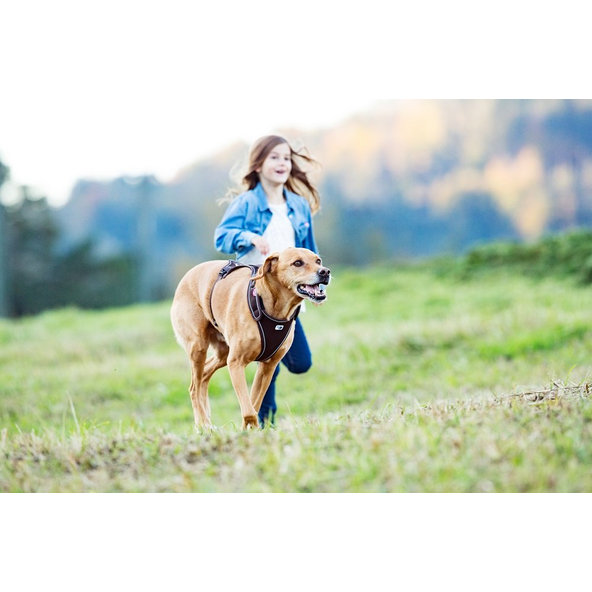 CURLI Postroj pre psov Belka Brown L, 25-35 kg