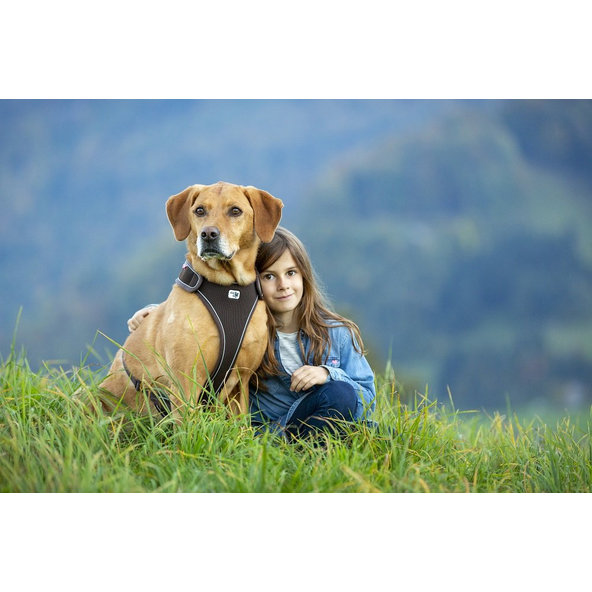 CURLI Postroj pre psov Belka Brown M, 20-30 kg