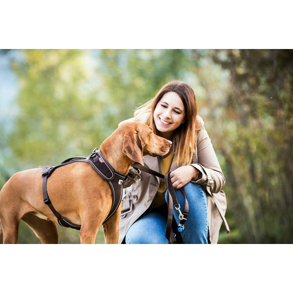 CURLI Postroj pre psov Belka Brown XL, 30-45 kg