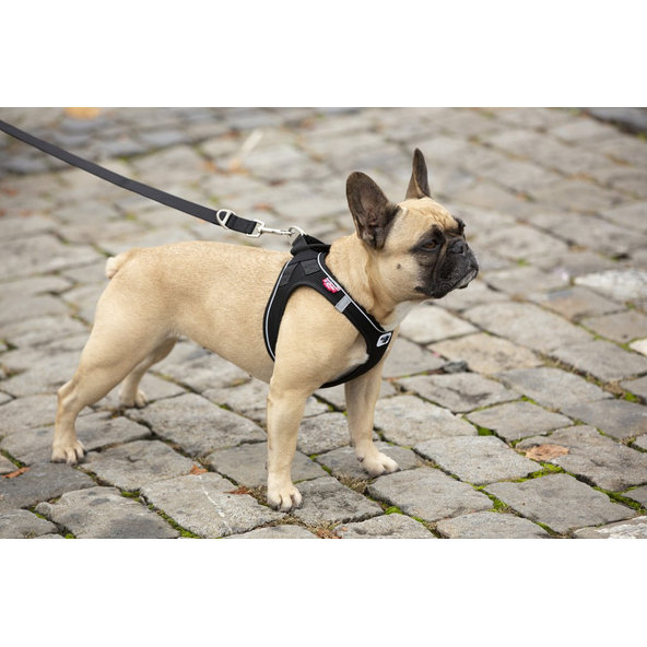 CURLI Postroj pre psov s magnetom Air-Mesh Black M 6-9 kg