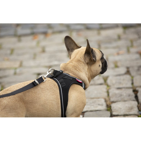 CURLI Postroj pre psov s magnetom Air-Mesh Black M 6-9 kg