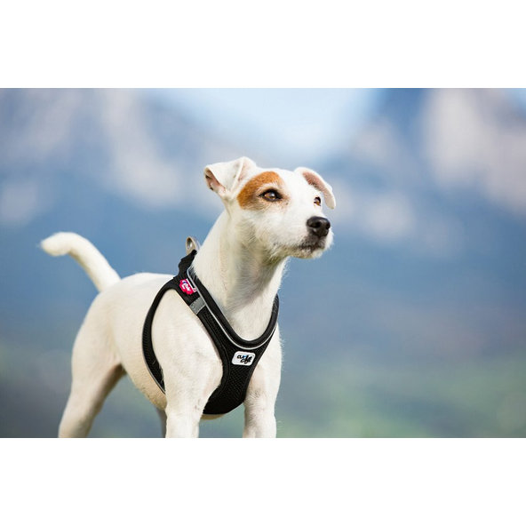 CURLI Postroj pre psov s magnetom Air-Mesh Black S 4-7 kg