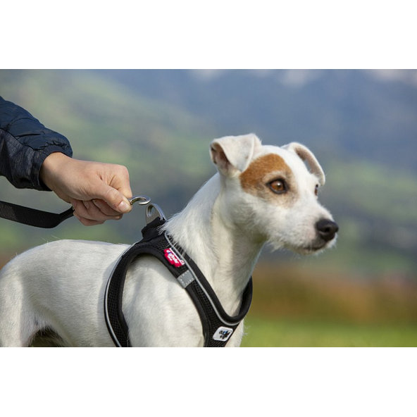 CURLI Postroj pre psov s magnetom Air-Mesh Black S 4-7 kg