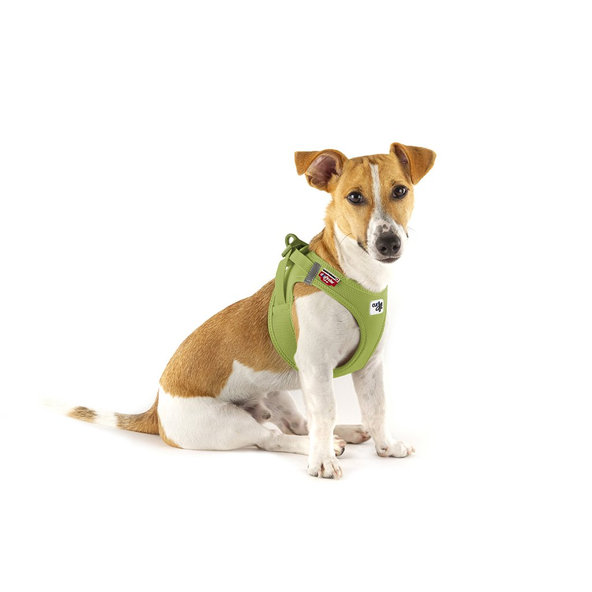 CURLI Postroj pre psov so sponou Air-Mesh Lime L, 8-13 kg