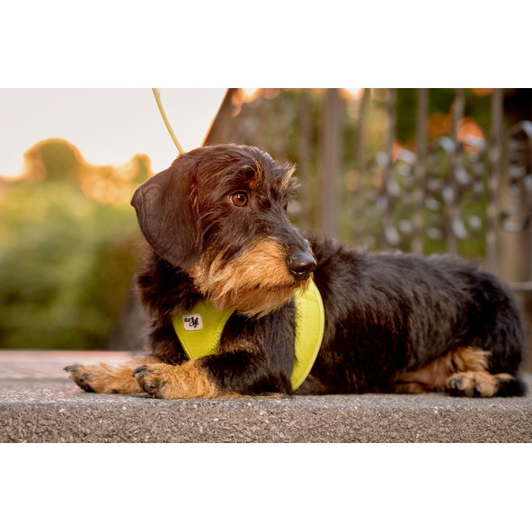 CURLI Postroj pre psov so sponou Air-Mesh Lime L, 8-13 kg