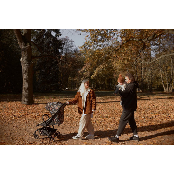 ANEX Kočík športový Air-Z Arr