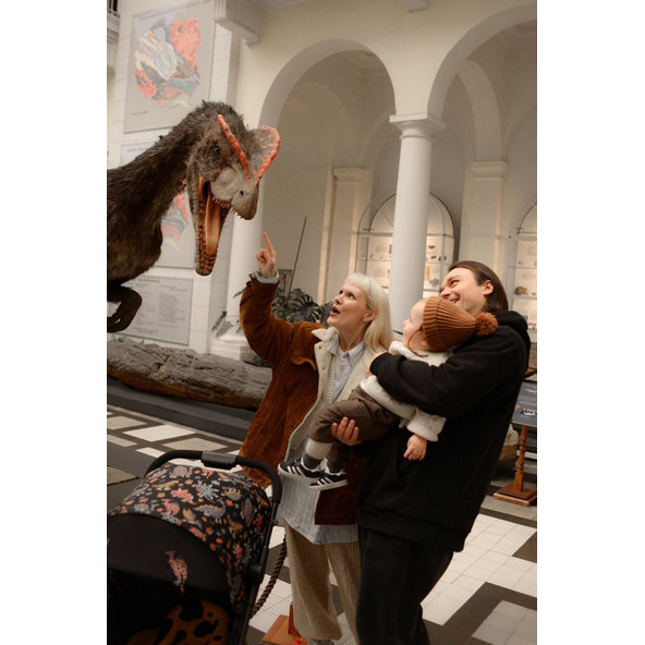 ANEX Kočík športový Air-Z Arr