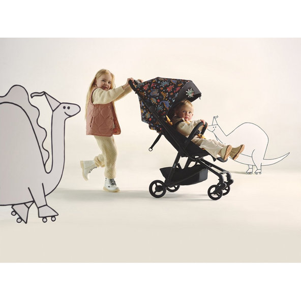 ANEX Kočík športový Air-Z Arr