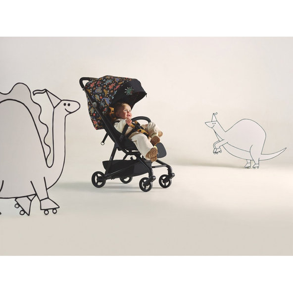 ANEX Kočík športový Air-Z Arr