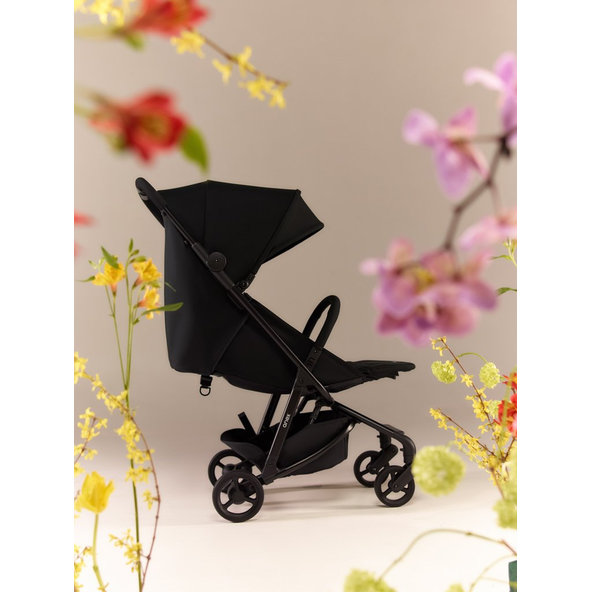 ANEX Kočík športový Air-Z Space