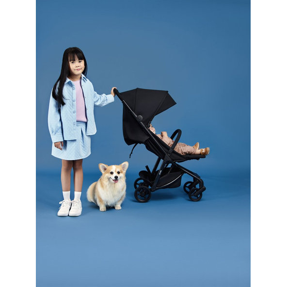 ANEX Kočík športový Air-Z Space