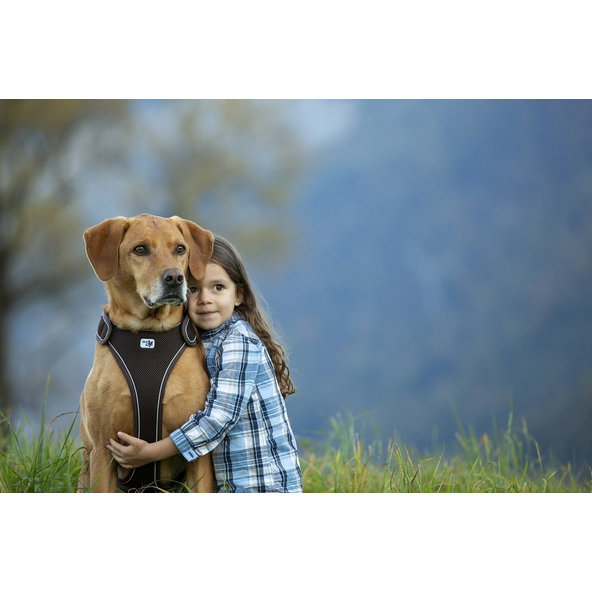 CURLI Postroj pre psov Belka Brown L, 25-35 kg